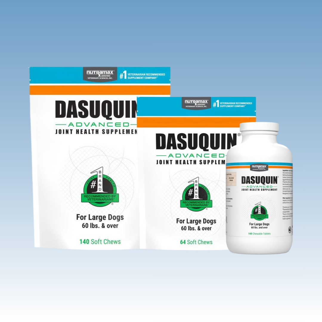 Dasuquin Advanced with ESM for Dogs over 60 lbs (Blue)